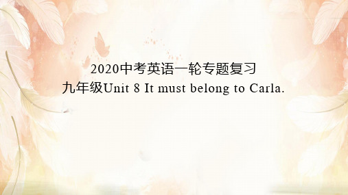 2020山东济南中考英语一轮专题复习：九年级Unit 8 It must belong to Car