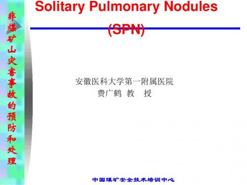 肺孤立结节的诊断和鉴别诊断安庆市立医院ppt课件