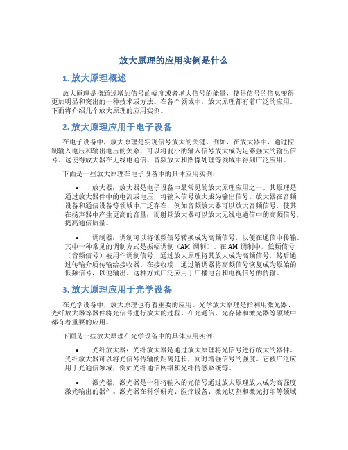 放大原理的应用实例是什么