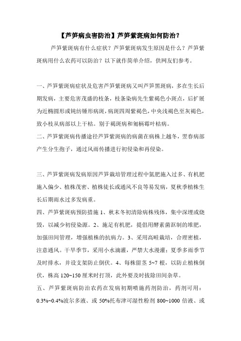 【芦笋病虫害防治】芦笋紫斑病如何防治？