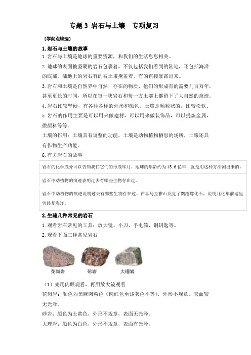 专题3  岩石与土壤—教科版科学四年级下册专项复习