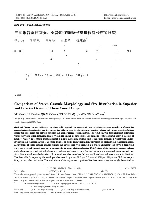 三种禾谷类作物强、弱势粒淀粉粒形态与粒度分布的比较