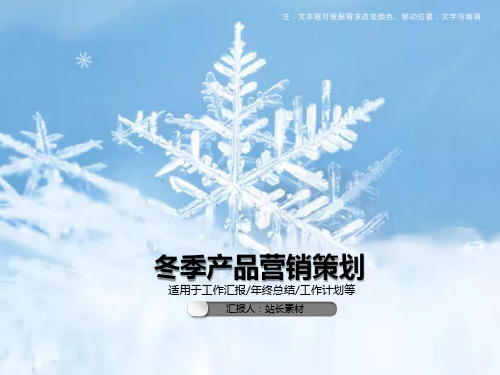 冬季产品营销策划PPT模板