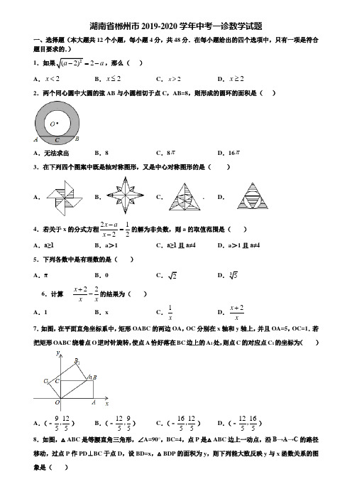 湖南省郴州市2019-2020学年中考一诊数学试题含解析