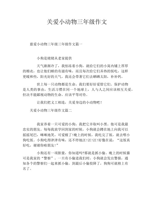 关爱小动物三年级作文