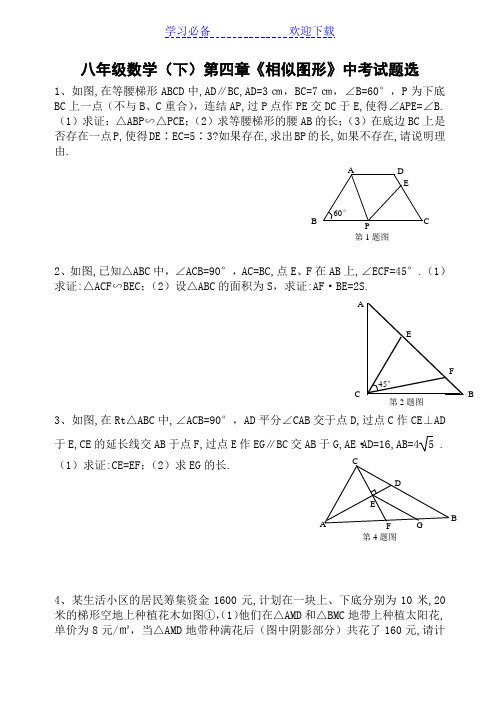 中考八年级数学相似难题