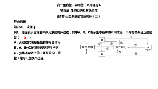 生态系统的物质循环(三)经典例题-天津市第一中学人教版高中生物必修三课件