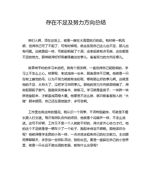 存在不足及努力方向总结