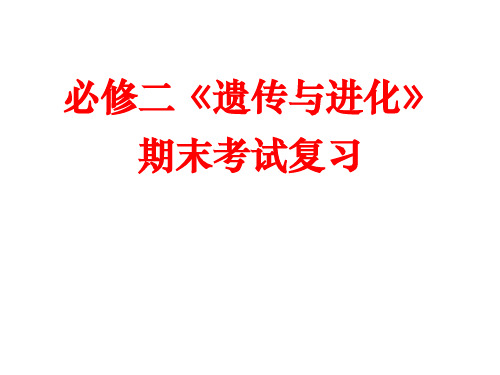 人教版教学课件【必修2专题二】遗传的分子基础