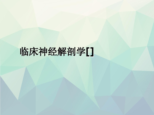 临床神经解剖学[]文稿演示