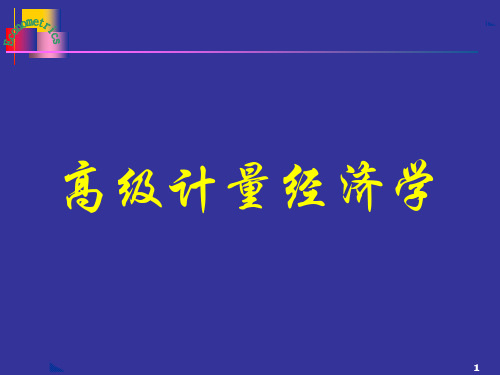 高级计量经济学(第四部分)_第十四章——第十五章