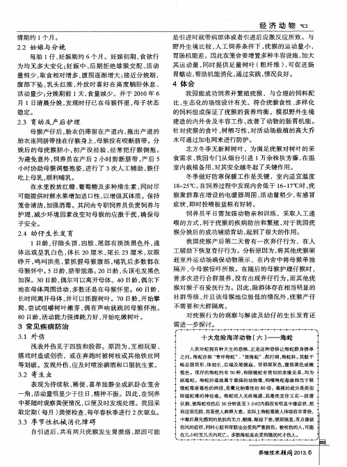 十大危险海洋动物(六)——海蛇