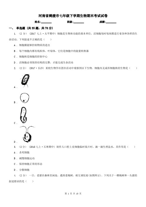 河南省鹤壁市七年级下学期生物期末考试试卷