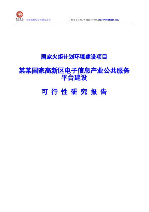 国家高新区电子信息产业公共服务平台建设可行性研究报告