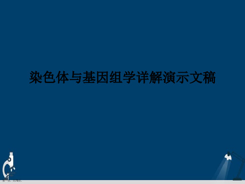 染色体与基因组学详解演示文稿