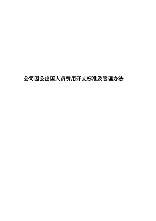 公司因公出国人员费用开支标准及管理办法