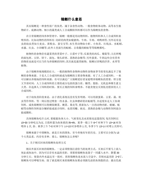 锦鲤什么意思