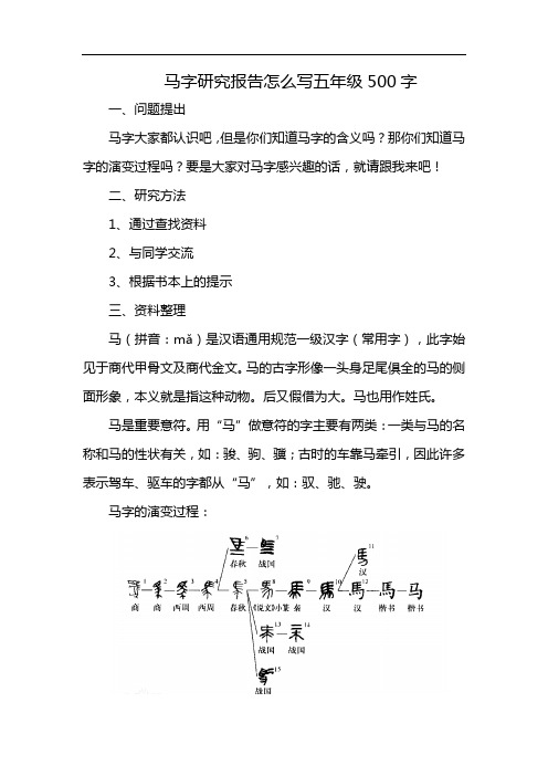 马字研究报告怎么写五年级500字