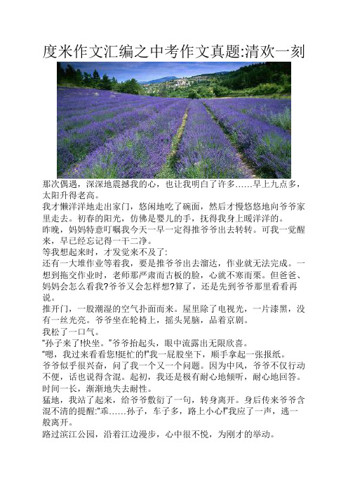 度米作文汇编之中考作文真题清欢一刻