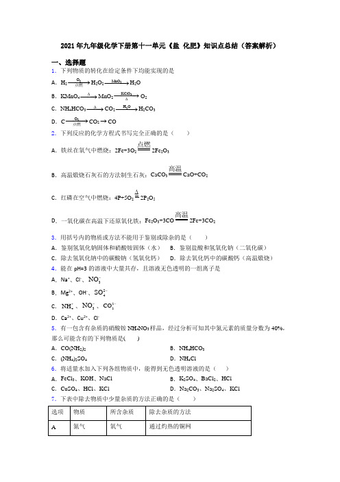 2021年九年级化学下册第十一单元《盐 化肥》知识点总结(答案解析)