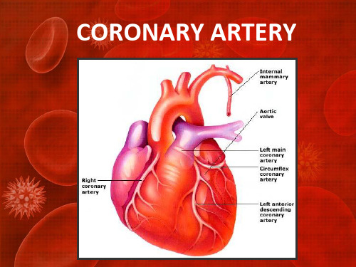 --高血压英文PPT精品课件CORONARY