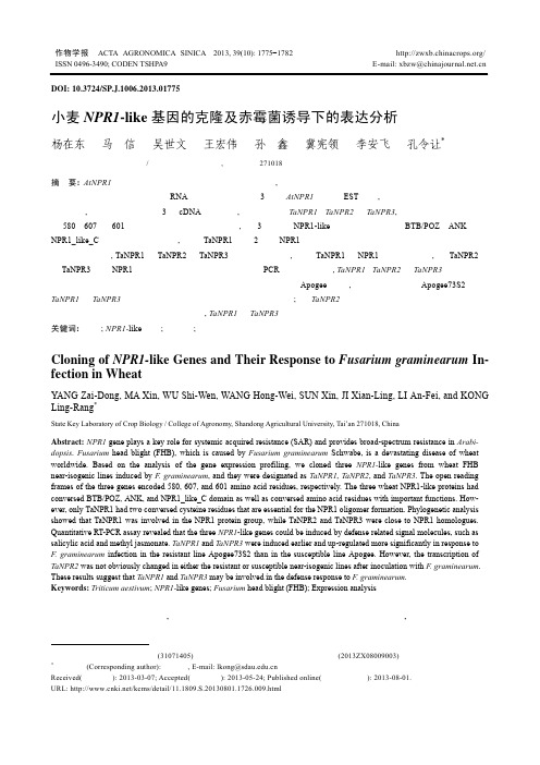 小麦NPR1-like基因的克隆及赤霉菌诱导下的表达分析