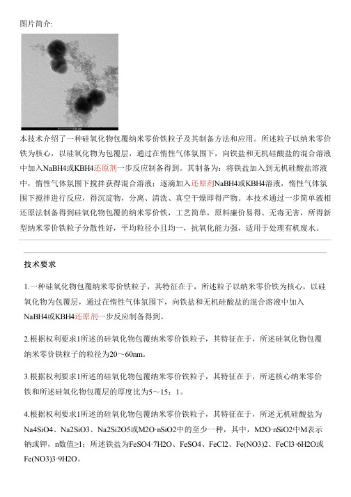 硅氧化物包覆纳米零价铁粒子及其设备制作方法和应用与制作流程