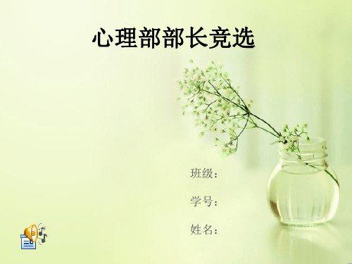 心理健康发展部部长竞选