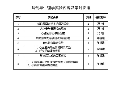 四大基本组织的观察