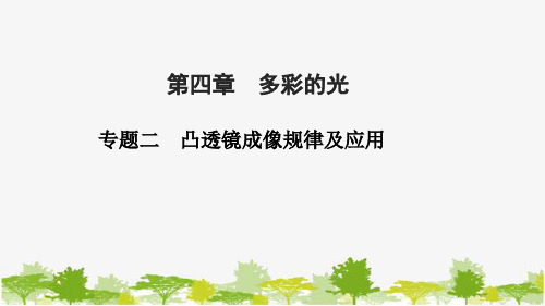 沪科版物理八年级上册 第四章 多彩的光  专题二 凸透镜成像规律及应用课件