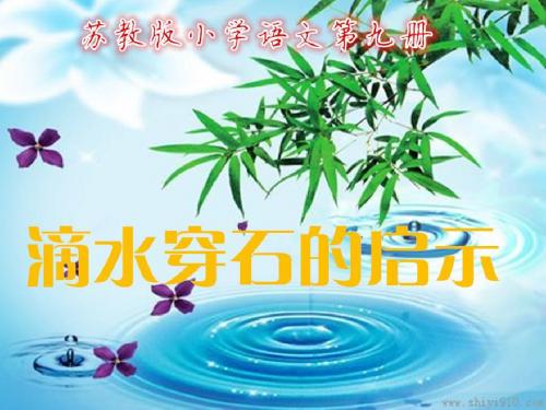 苏教版小学语文第九册《滴水穿石的启示》第二课时PPT