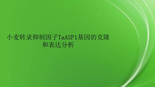 小麦转录抑制因子TaASP1基因的克隆和表达分析