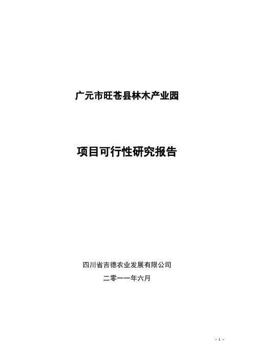 广元市旺苍县林木产业园项目可行性研究报告