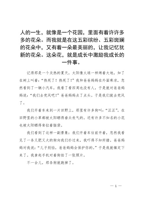 激励我成长的一件事作文