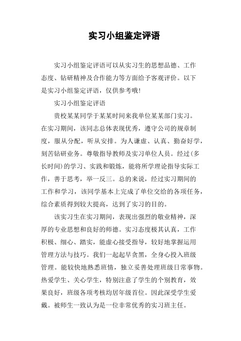 实习小组鉴定评语