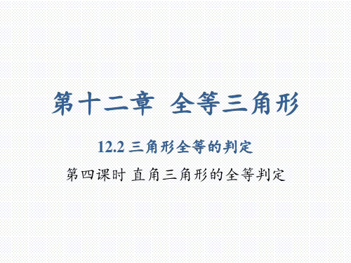 人教版八年级数学上册三角形全等的判定第四课时直角三角形的全等判定