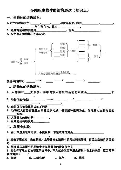 多细胞生物体的结构层次(知识点及答案)