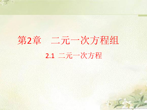 浙教版七年级数学下册：第二章 二元一次方程组 教学课件