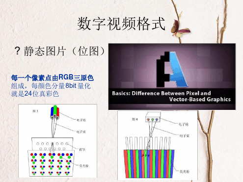 数字视频格式讲解