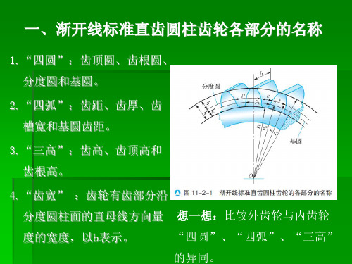 渐开线标准直齿圆柱齿轮传动各部分的名称