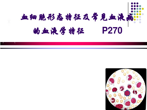 修改血细胞形态特征及常见血液病血液学特征