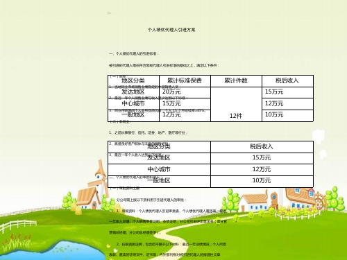 2018保险公司个人绩优代理人引进方案8页