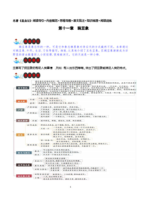 第十一章 豌豆象-名著《昆虫记》阅读导引+内容概括+思维导图+原文批注+知识梳理+阅读训练