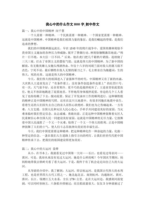 我心中的什么作文800字_初中作文