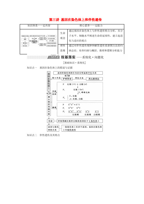 2019版高考生物一轮复习 第五单元 遗传的基本规律与伴性遗传 第三讲 基因在染色体上和伴性遗传精选