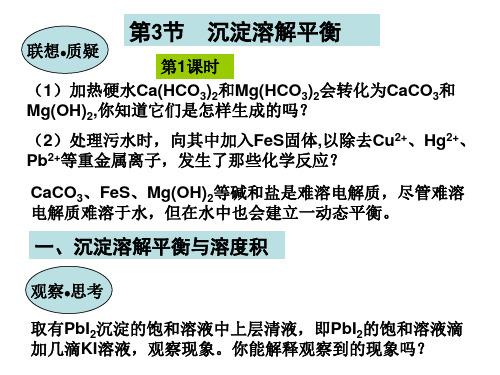 鲁科版选修4化学3.3《沉淀溶解平衡》课件(3)PP