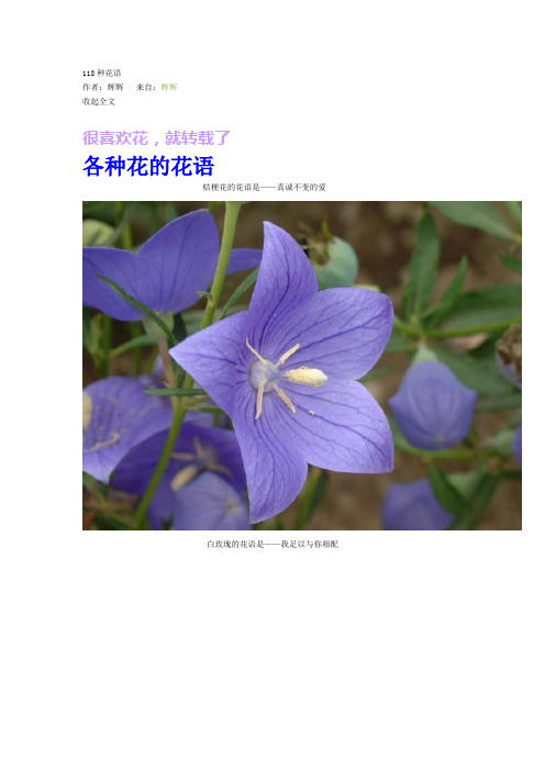 118种花语