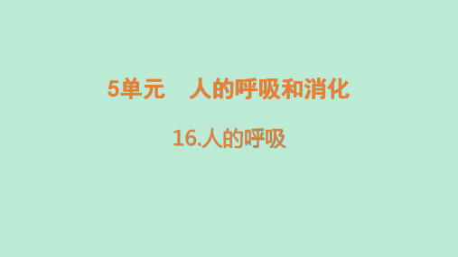 16.人的呼吸(课件含练习)苏教版科学三年级上册