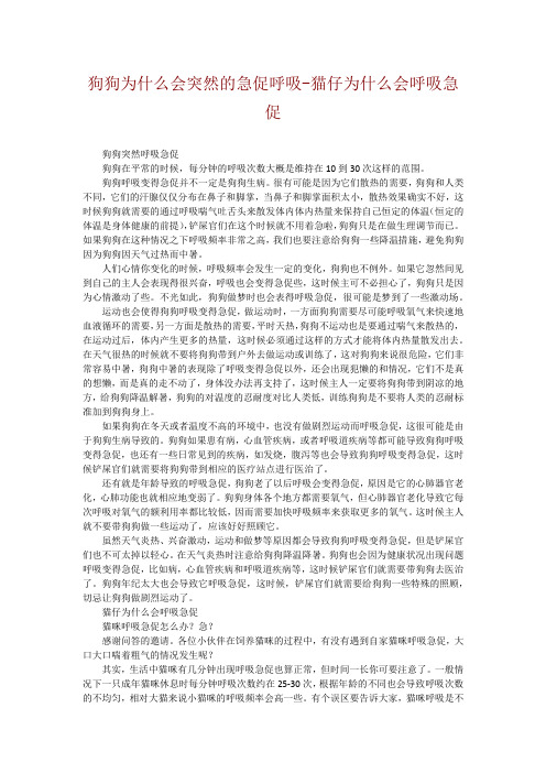 狗狗为什么会突然的急促呼吸-猫仔为什么会呼吸急促