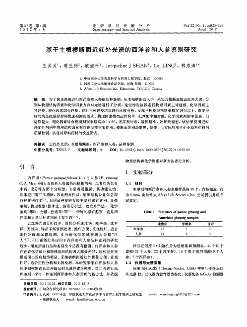 基于主根横断面近红外光谱的西洋参和人参鉴别研究